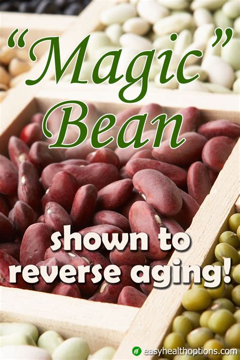 Once upon a time magic bean